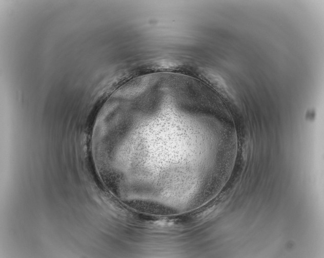 X0000094200366200711021057