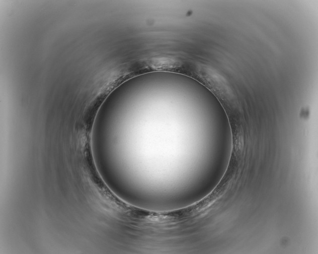 X0000094200367200711021057