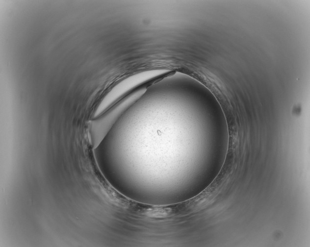 X0000094200373200711021058