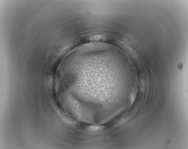 X0000094200375200711021058