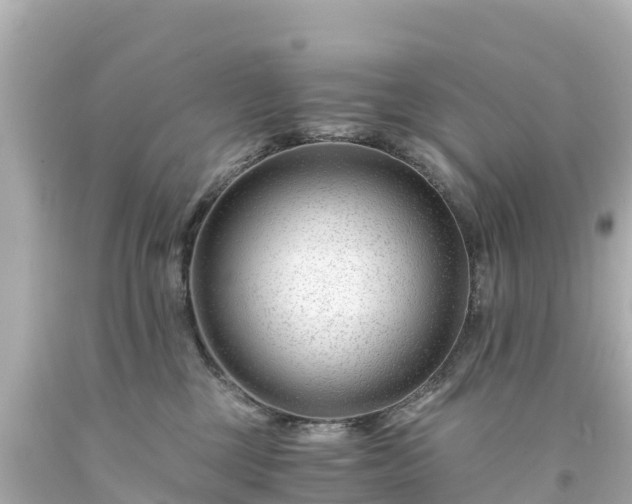 X0000094200377200711021058