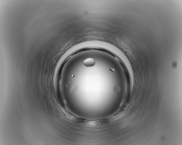 X0000094200382200711021058