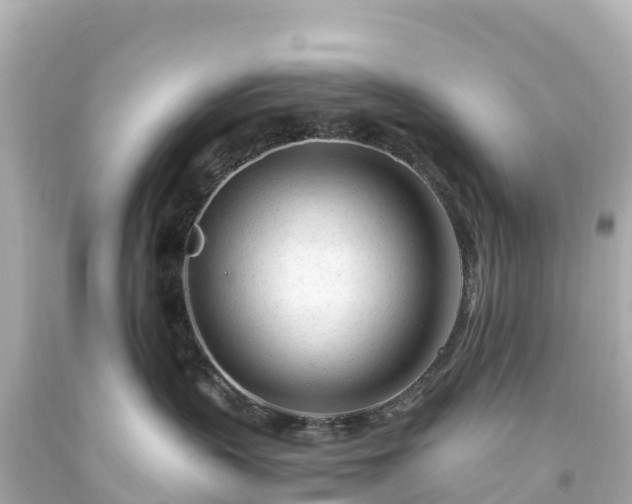 X0000094200383200711021058