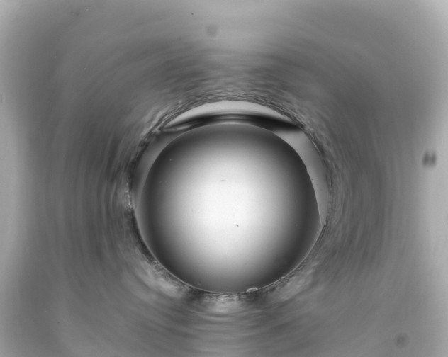 X0000094200384200711021058