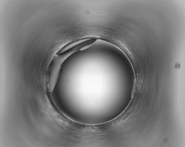 X0000094200386200711021057