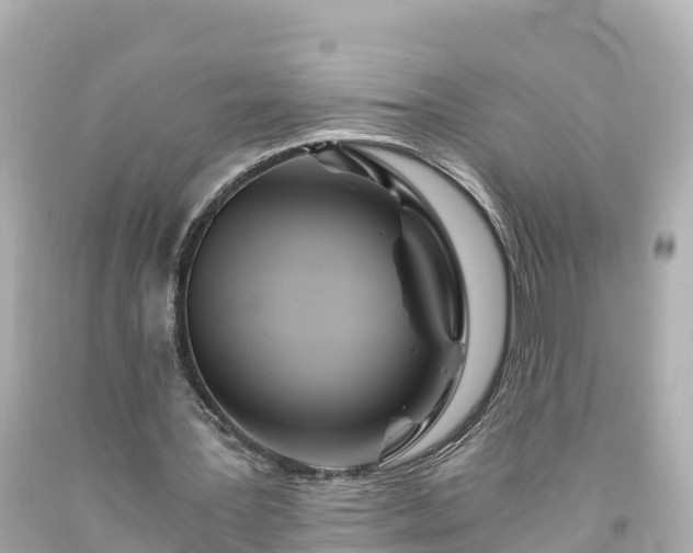 X0000094200387200711021057