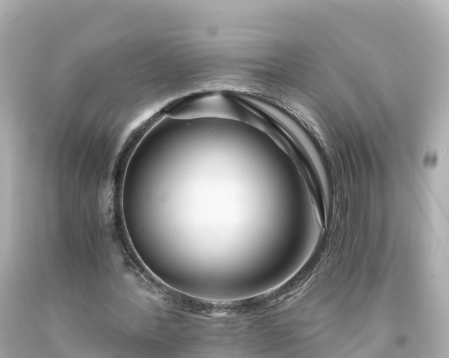 X0000094200388200711021057