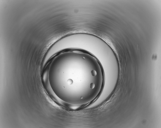 X0000094200389200711021057