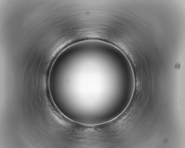X0000094200390200711021057