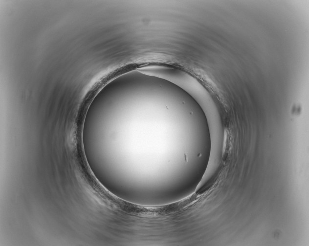 X0000094200392200711021057