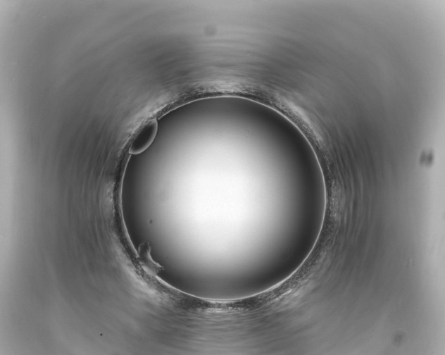 X0000094200394200711021057