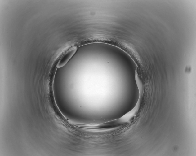 X0000094200395200711021057