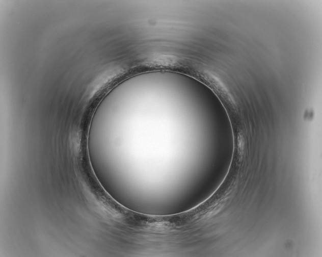 X0000094200396200711021057