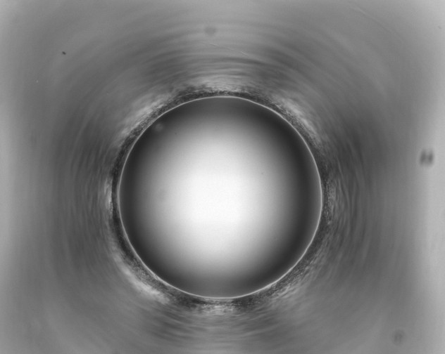 X0000094200398200711021057