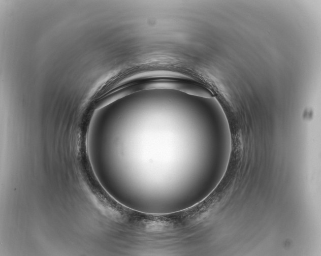 X0000094200400200711021057