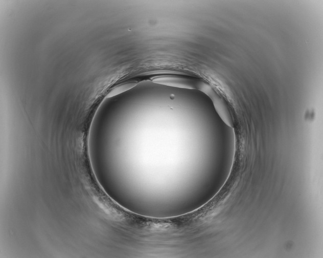 X0000094200401200711021057