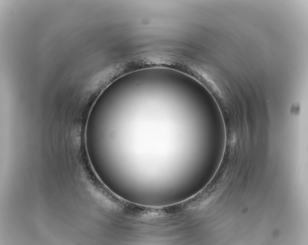 X0000094200402200711021057