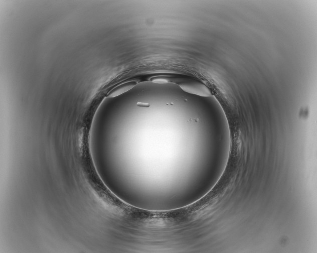 X0000094200404200711021057