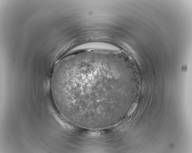 X0000094200405200711021057