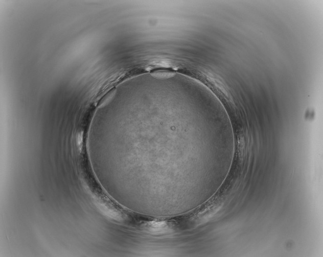 X0000094200406200711021057