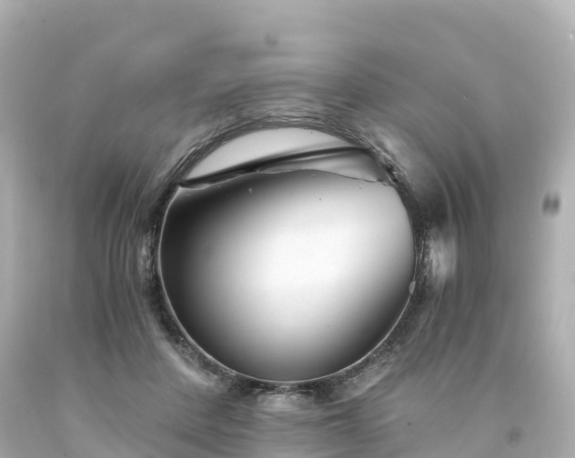 X0000094200408200711021056