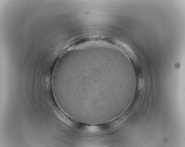 X0000094200409200711021056