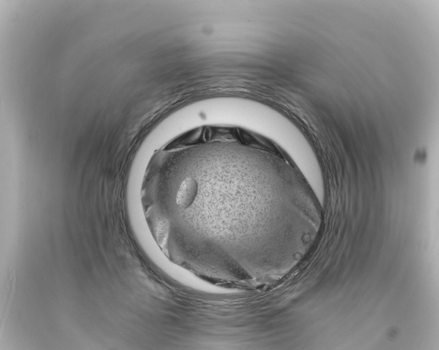 X0000094200411200711021056