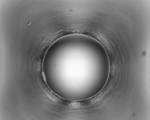 X0000094200413200711021056