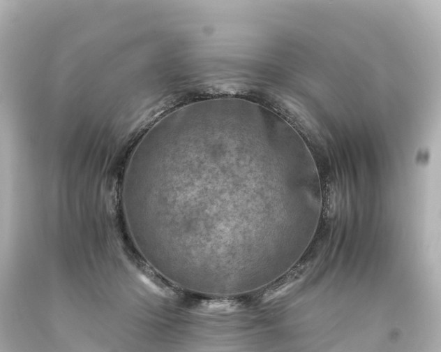 X0000094200414200711021056