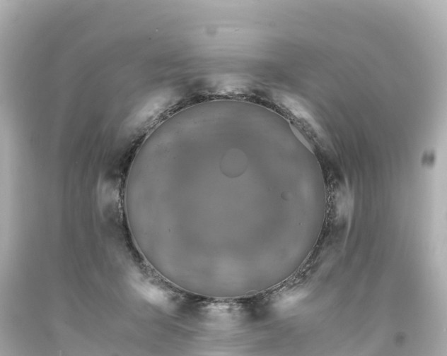 X0000094200415200711021056