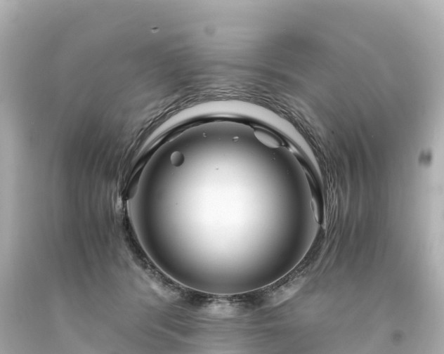 X0000094200416200711021056