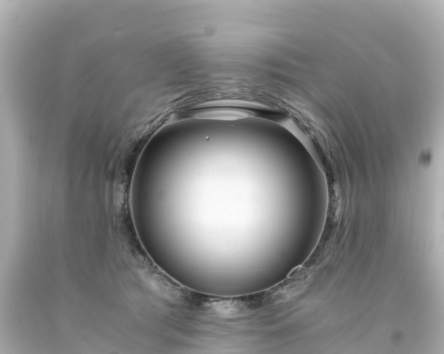 X0000094200417200711021056