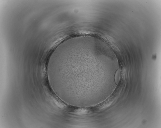 X0000094200418200711021056