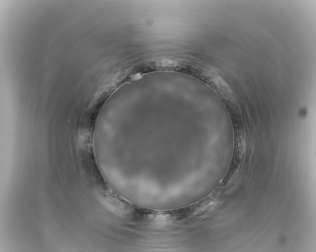 X0000094200419200711021056
