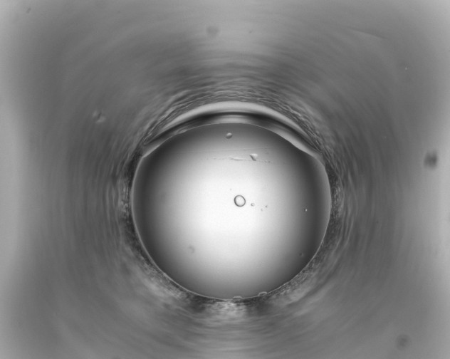X0000094200421200711021056