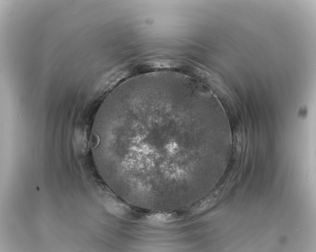 X0000094200422200711021056