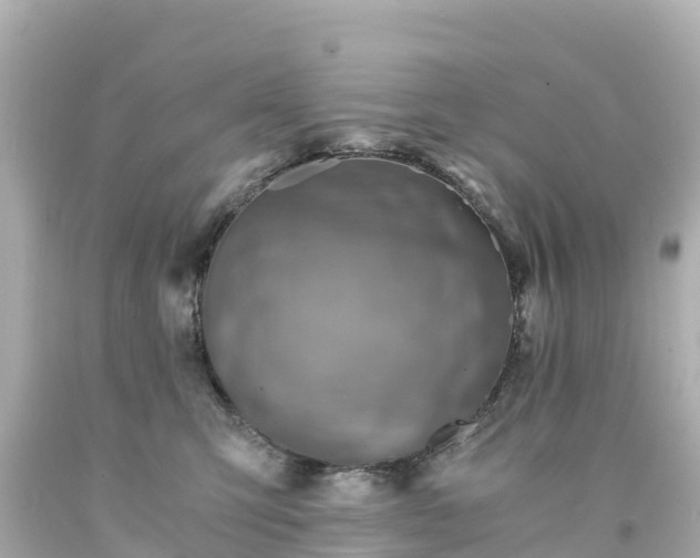 X0000094200423200711021056