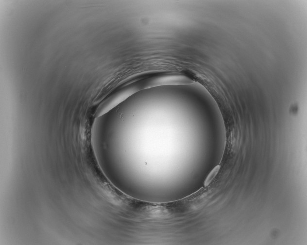 X0000094200424200711021056