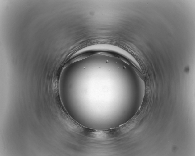 X0000094200425200711021056