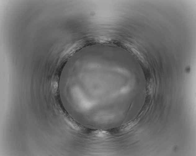 X0000094200427200711021056
