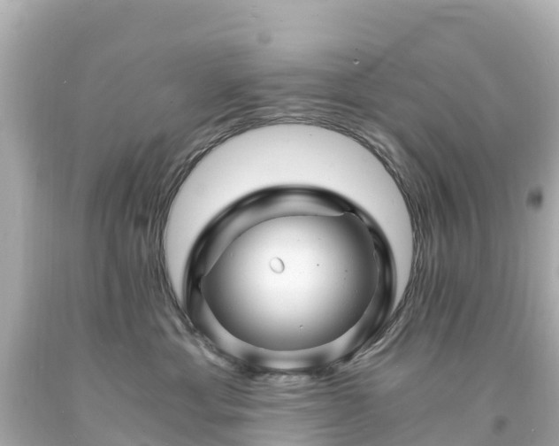 X0000094200429200711021056
