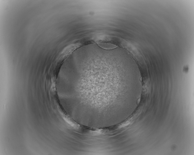 X0000094200430200711021056