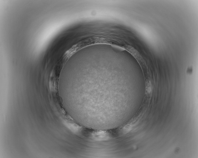 X0000094200431200711021056