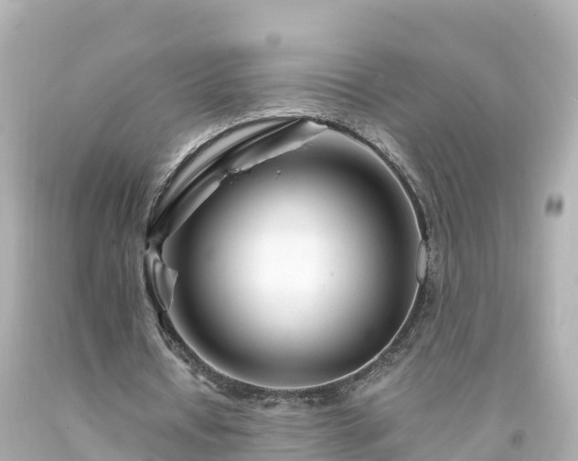 X0000094200434200711021055