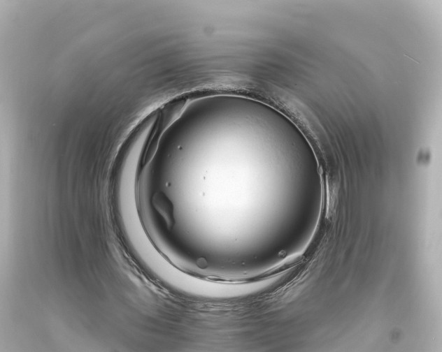 X0000094200435200711021055