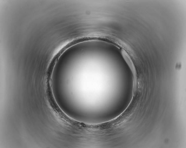 X0000094200436200711021055