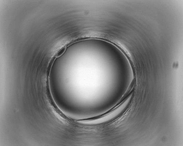 X0000094200437200711021055