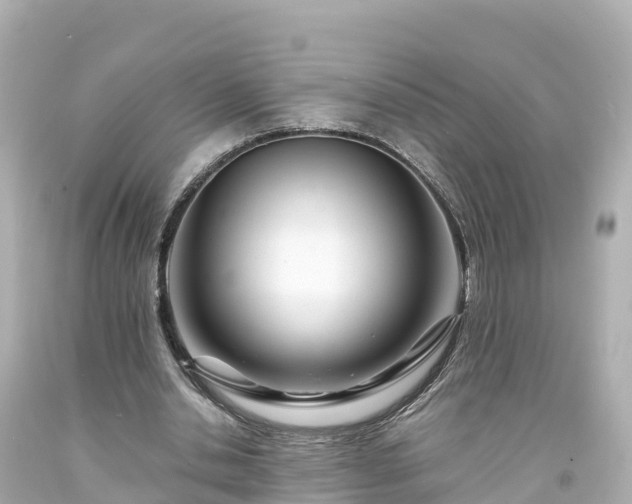 X0000094200438200711021055