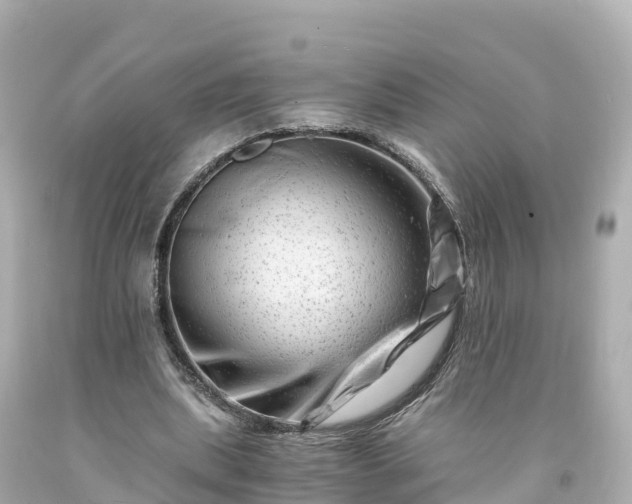 X0000094200439200711021055