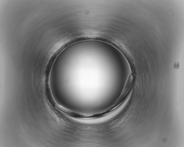 X0000094200440200711021055